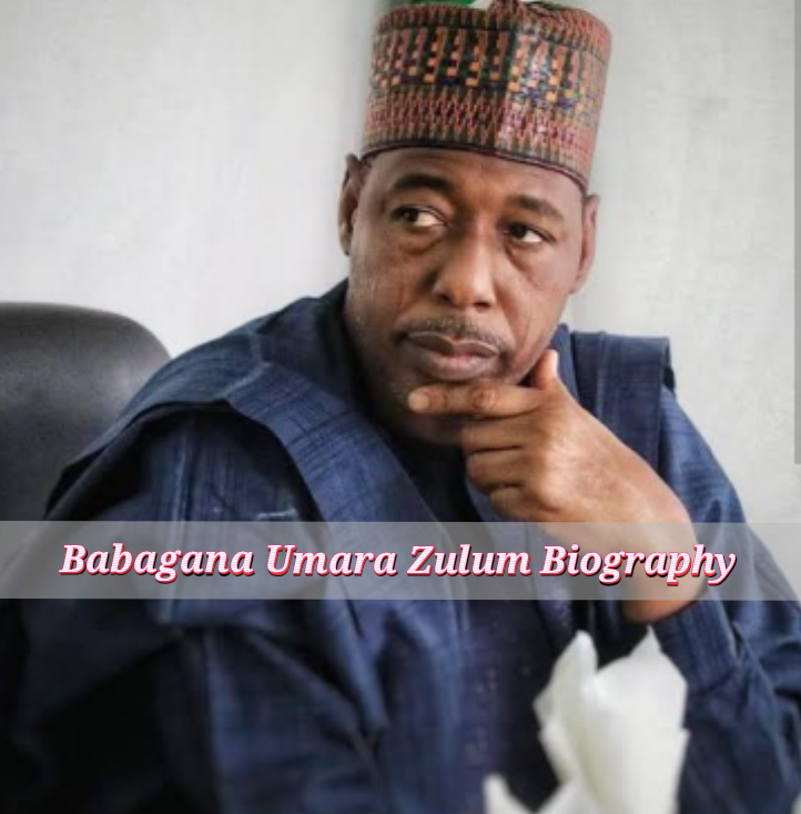 Babagana Umara Zulum Biography