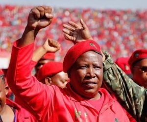 Julius Malema Biography