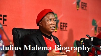 Julius Malema Biography