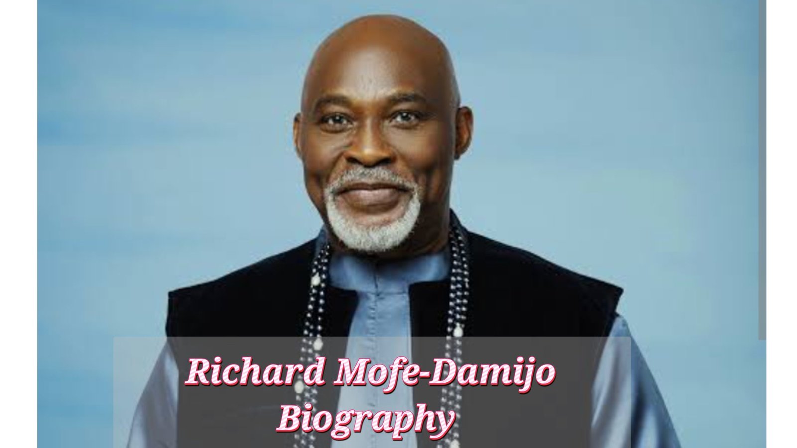 Richard Mofe-Damijo Biography