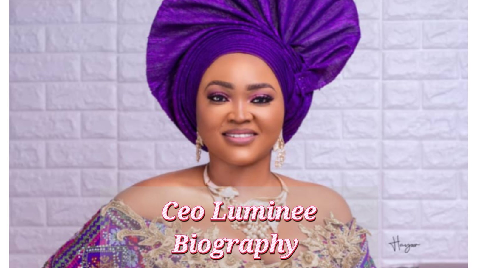 CEO Luminee Biography