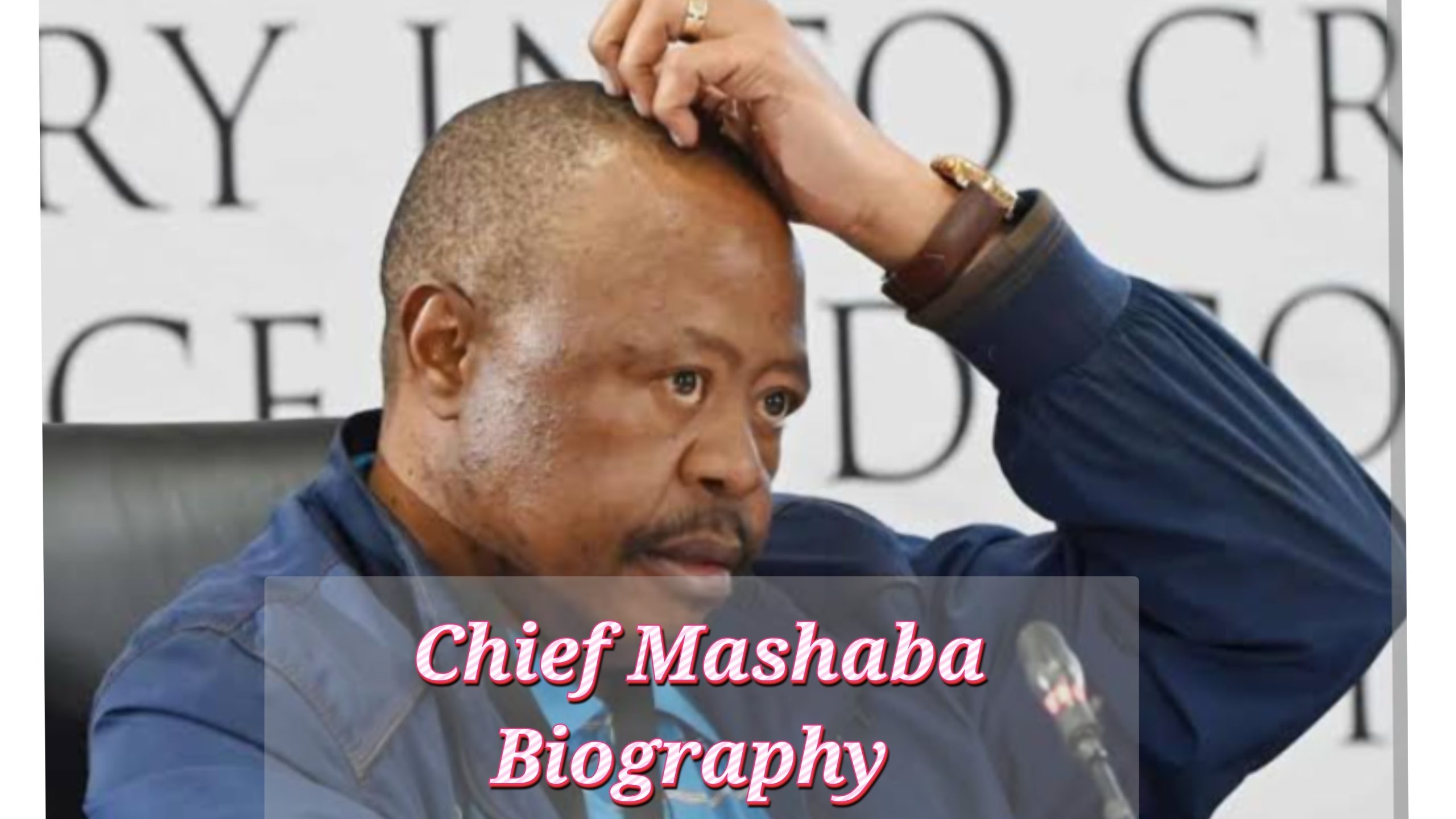 Herman Mashaba Biography