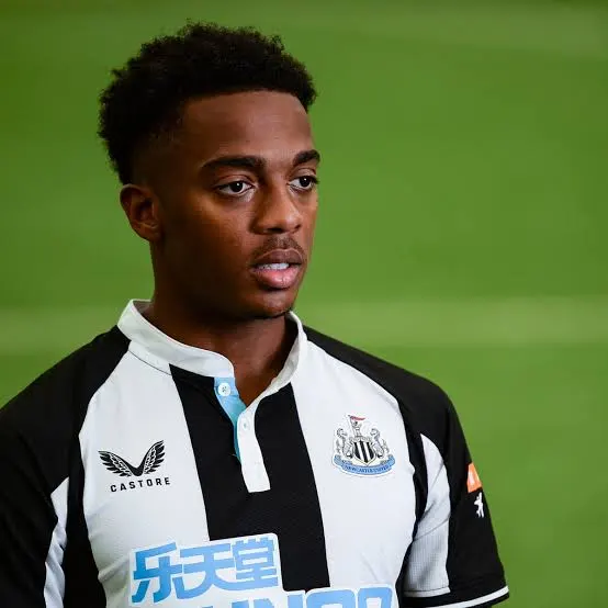 Joe Willock Biography Age, Career, Family, Net Worth and Latest News