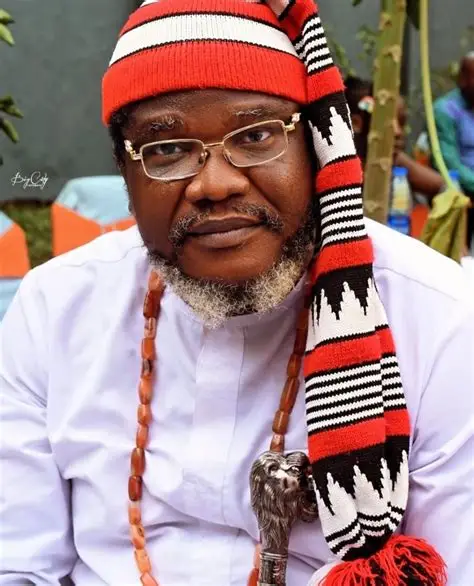 Ugezu J. Ugezu Biography: Age, Education, Movies, Career and Family