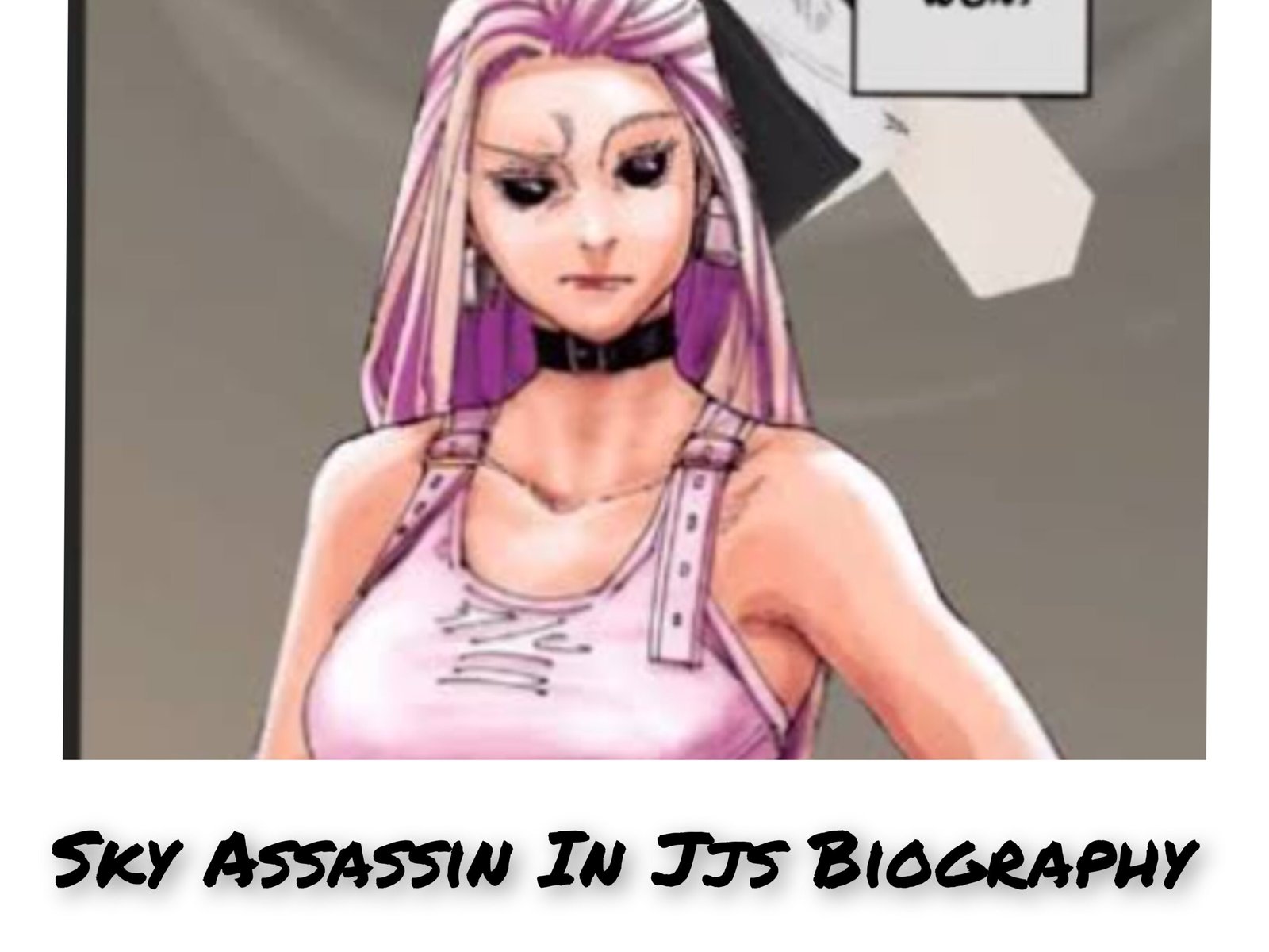 Who is sky assassin in jjs